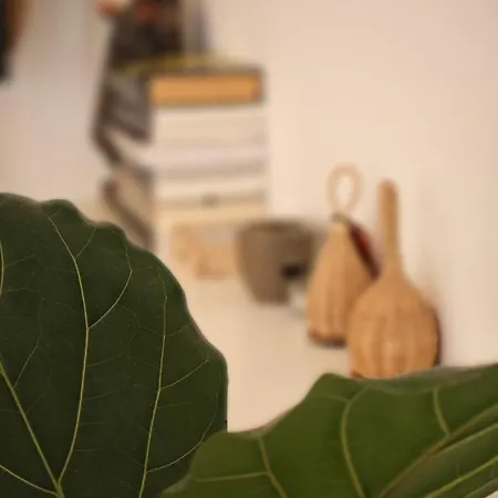 Casa Compartida San Francisco Bed & Breakfast Santa Cruz de Tenerife