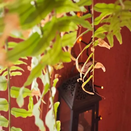 Casa Compartida San Francisco Bed & Breakfast